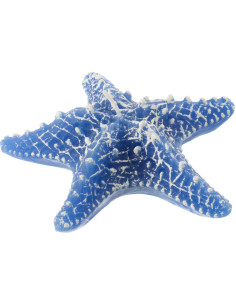 Bougie originale bord de mer Étoile de mer 13 cm 2 H Cire Bleu foncé Rivélia 