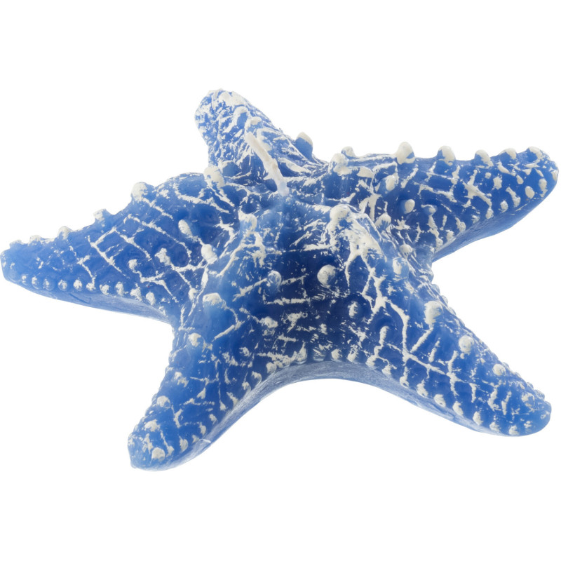 Bougie originale bord de mer Étoile de mer 13 cm 2 H Cire Bleu foncé Rivélia 