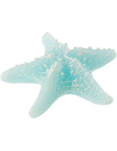 Bougie originale bord de mer Étoile de mer 13 cm 2 H Cire Bleu azur Rivélia 