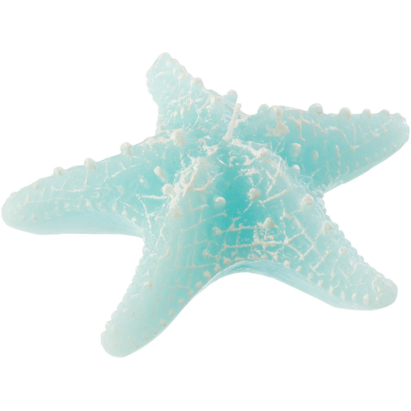 Bougie originale bord de mer Étoile de mer 13 cm 2 H Cire Bleu azur Rivélia 