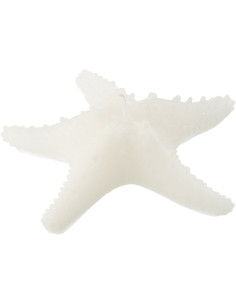 Bougie originale bord de mer Étoile de mer 20 cm 3 H Cire Blanc Rivélia 