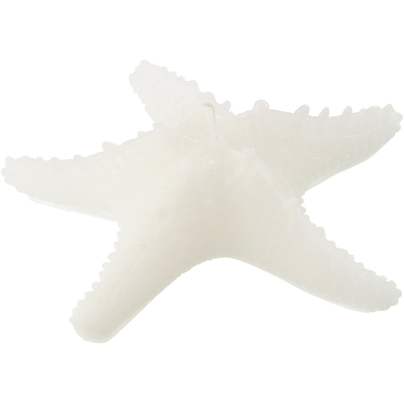 Bougie originale bord de mer Étoile de mer 20 cm 3 H Cire Blanc Rivélia 