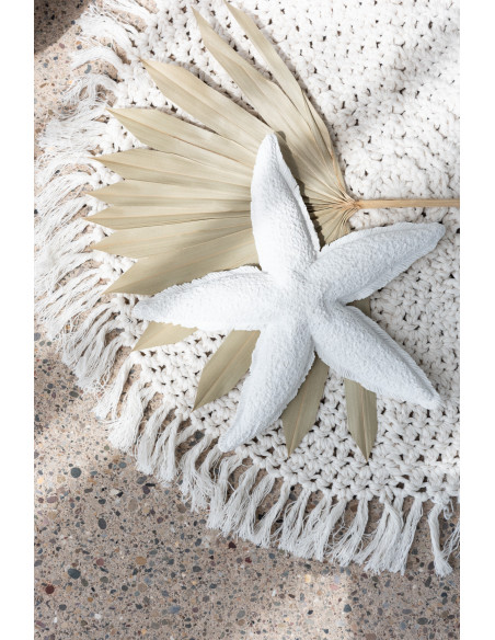 Bougie originale bord de mer Étoile de mer 20 cm 3 H Cire Blanc Rivélia 