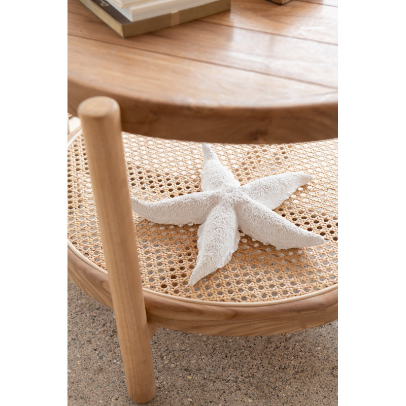 Bougie originale bord de mer Étoile de mer 20 cm 3 H Cire Blanc Rivélia 