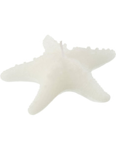 Bougie originale bord de mer Étoile de mer 13 cm 2 H Cire Blanc Rivélia 