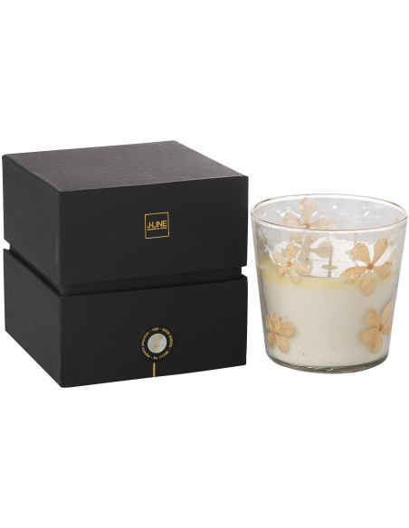 Bougie parfumée longue durée Mélange floral Tender Rose 45 H Verre Transparent Motif fleurs Cire Softy 