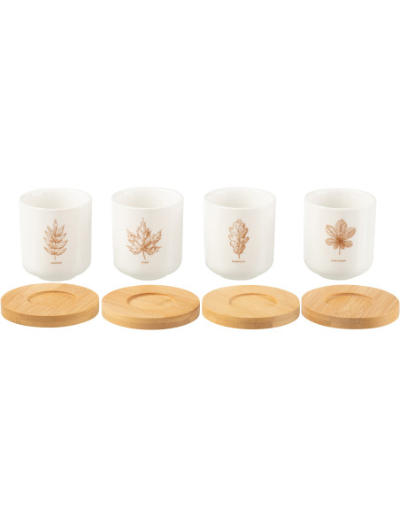 Lot de 4 Tasses à café campagne chic 100 ml Céramique Blanc Marron Motif feuilles Bois Naturel Leavina 