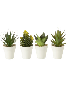 Lot de 4 Plantes grasses artificielles réalistes Aloe Crassula Sansevieria Agave H 17 cm Plastique Vert Blanc Naturyno 
