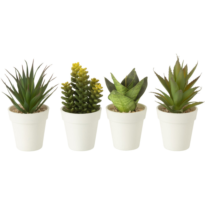 Lot de 4 Plantes grasses artificielles réalistes Aloe Crassula Sansevieria Agave H 17 cm Plastique Vert Blanc Naturyno 