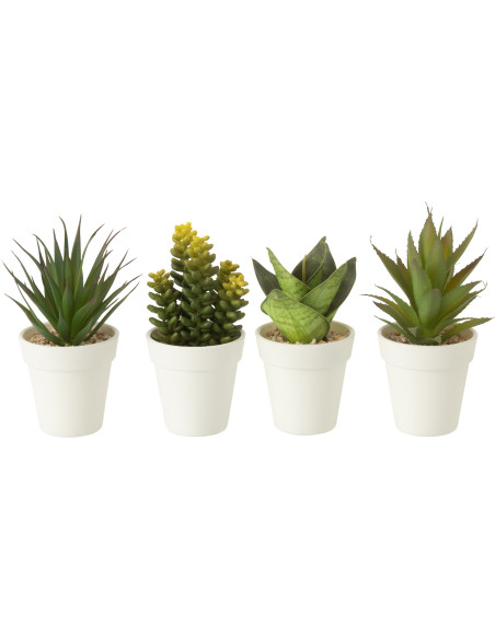 Lot de 4 Plantes grasses artificielles réalistes Aloe Crassula Sansevieria Agave H 17 cm Plastique Vert Blanc Naturyno 