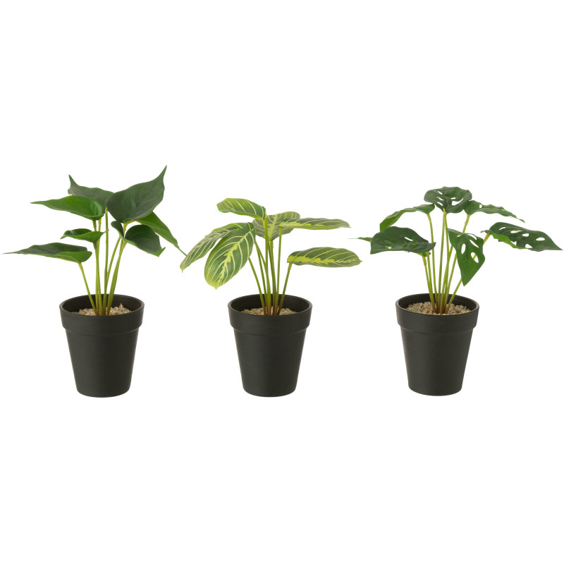 Lot de 3 Plantes artificielles réaliste Alocasia Calathea Monstera H 23 cm Plastique Vert Noir Naturyno 
