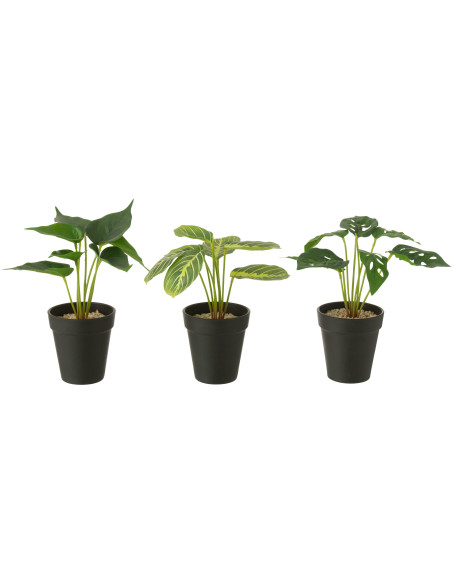 Lot de 3 Plantes artificielles réaliste Alocasia Calathea Monstera H 23 cm Plastique Vert Noir Naturyno 
