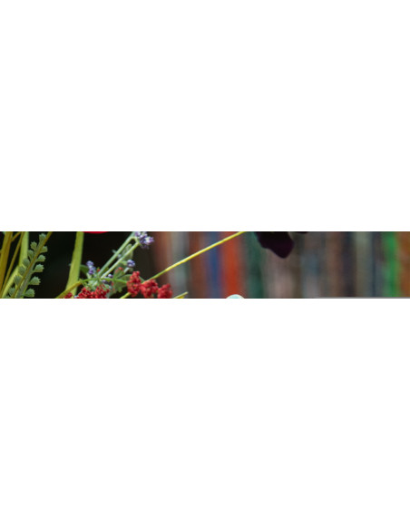 Lot de 2 Sculptures déco indiens sur pied Mains H 23 cm Bois de manguier Multicolore Métal Noir Delhi 