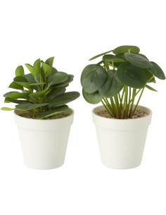 Lot de 2 Plantes vertes tropicales réalistes Peperomia Pilea H 22 cm Plastique Vert Blanc Naturyno 