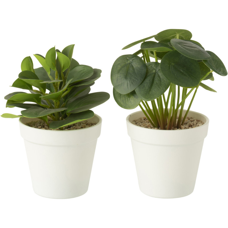 Lot de 2 Plantes vertes tropicales réalistes Peperomia Pilea H 22 cm Plastique Vert Blanc Naturyno 