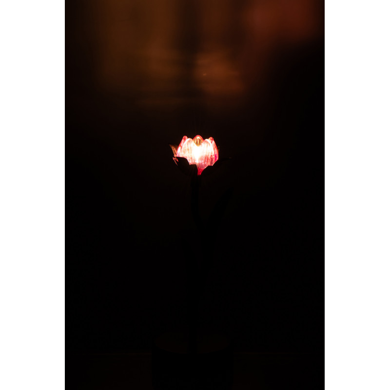 Lampe à poser Led design Fleur H 26 cm Verre Rose Métal Noir Floréssana 