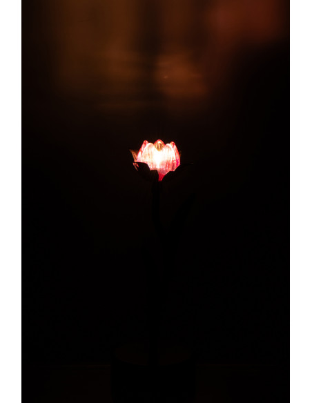 Lampe à poser Led design Fleur H 26 cm Verre Rose Métal Noir Floréssana 