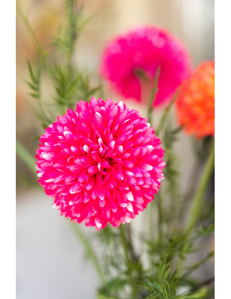 Grande Fleur artificielle réaliste Chrysanthème H 78 cm Tissu Rose Plastique Vert 