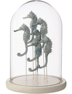 Grande Cloche déco bord de mer Hippocampes H 26 cm Verre Transparent Résine Bleu clair Oceanika 