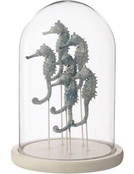 Grande Cloche déco bord de mer Hippocampes H 26 cm Verre Transparent Résine Bleu clair Oceanika 