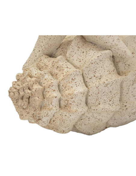 Décoration à poser bord de mer Étoile & Coquillage H 21 cm Résine Beige Marina 