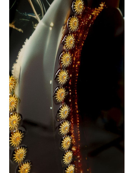 Toile murale Femme glamour avec strass Cadre doré 62x92 Finition laquée Illumy A 