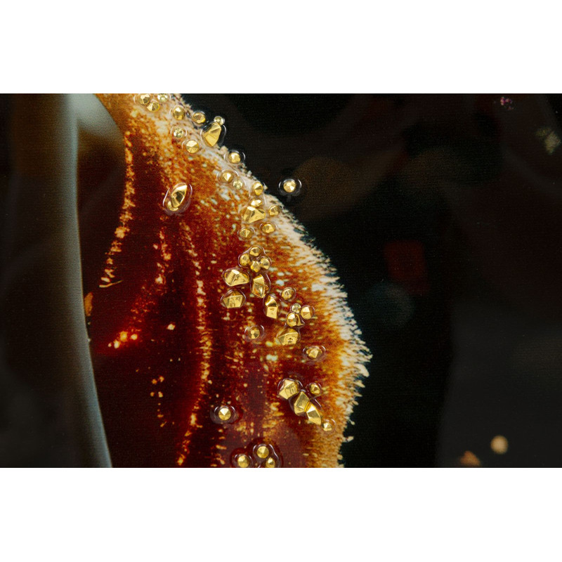 Toile murale Femme glamour avec strass Cadre doré 62x92 Finition laquée Illumy A 