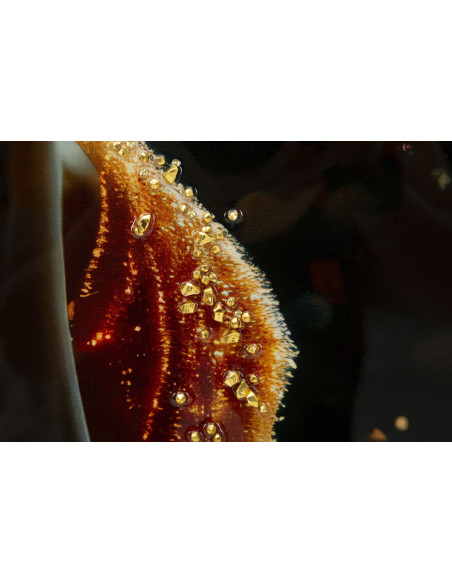 Toile murale Femme glamour avec strass Cadre doré 62x92 Finition laquée Illumy A 