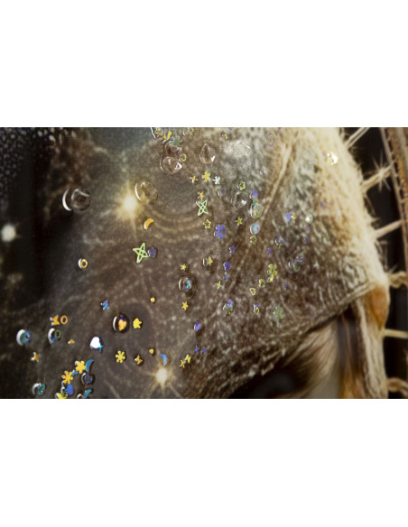 Toile murale style spirituel Femme & Enfant avec strass Cadre doré 60x90 Finition laquée Maternity C 