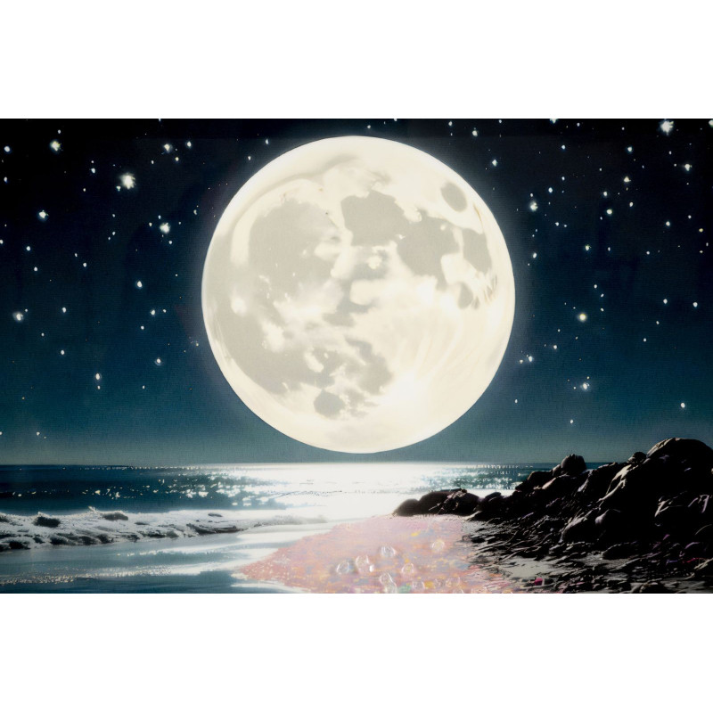Toile murale Plage nocturne avec strass Cadre doré 60x90 Finition laquée Colors A 