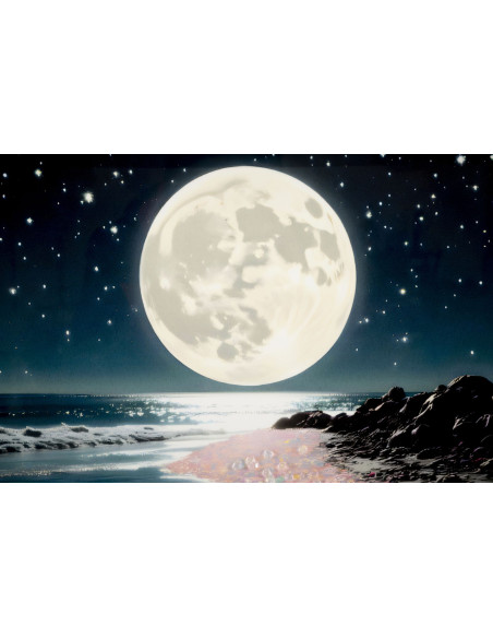 Toile murale Plage nocturne avec strass Cadre doré 60x90 Finition laquée Colors A 