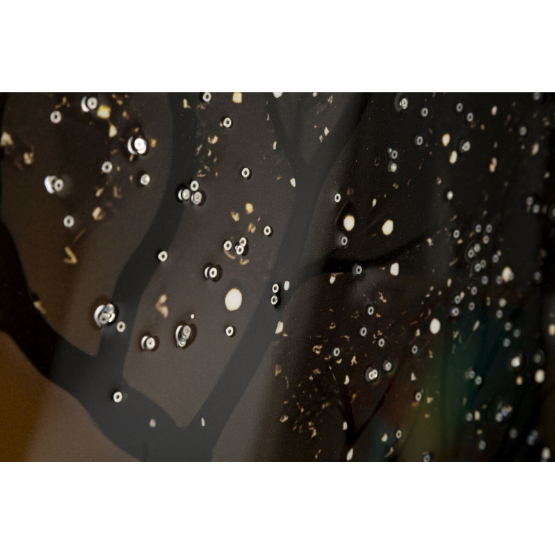 Grande Toile murale Paon avec strass Cadre doré 70x100 Finition laquée Peacock 