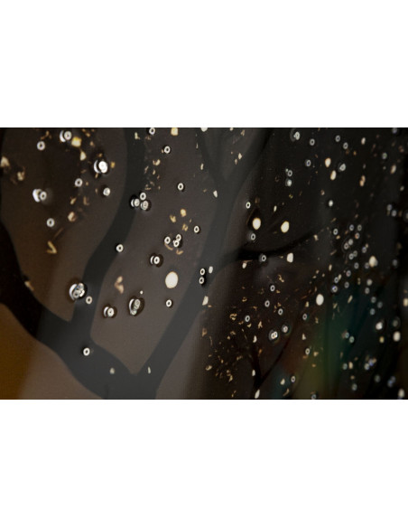 Grande Toile murale Paon avec strass Cadre doré 70x100 Finition laquée Peacock 