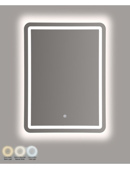 Miroir mural lumineux LED Rectangulaire 60x80 Argenté Simple 