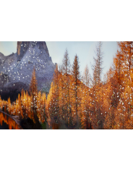 STAMPA SU TELA LACCATA C/CORNICE LAKE CM 90X4X60 