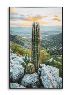 STAMPA SU TELA LACCATA C/CORNICE CACTUS -A- CM 60X4X90 