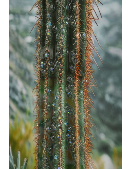 STAMPA SU TELA LACCATA C/CORNICE CACTUS -A- CM 60X4X90 