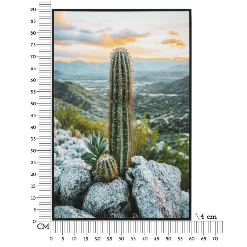 STAMPA SU TELA LACCATA C/CORNICE CACTUS -A- CM 60X4X90 