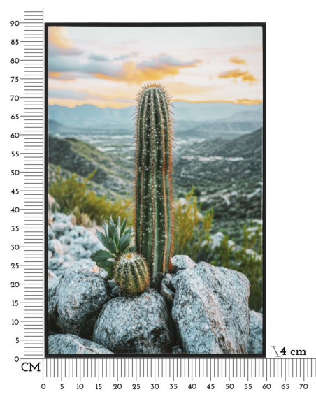 STAMPA SU TELA LACCATA C/CORNICE CACTUS -A- CM 60X4X90 