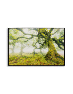 STAMPA SU TELA LACCATA C/CORNICE FORESTA CM 90X4X60 