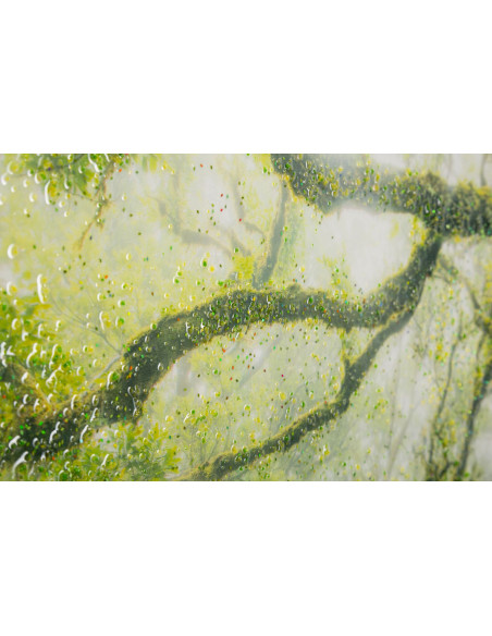 STAMPA SU TELA LACCATA C/CORNICE FORESTA CM 90X4X60 