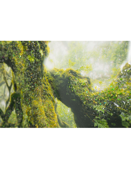 STAMPA SU TELA LACCATA C/CORNICE FORESTA CM 90X4X60 