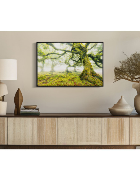 STAMPA SU TELA LACCATA C/CORNICE FORESTA CM 90X4X60 