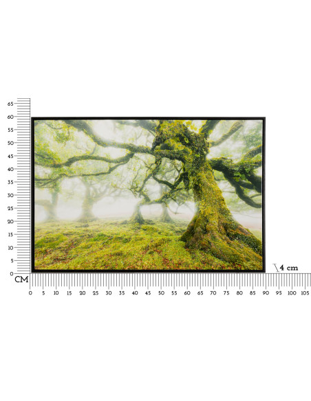 STAMPA SU TELA LACCATA C/CORNICE FORESTA CM 90X4X60 