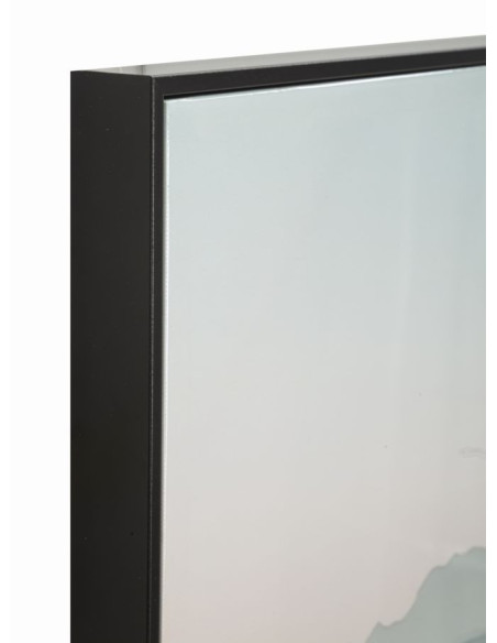 STAMPA SU TELA LACCATA C/CORNICE CACTUS -B- CM 60X4X90 