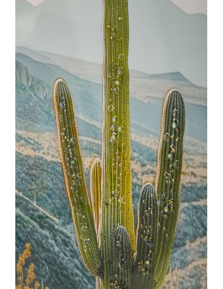 STAMPA SU TELA LACCATA C/CORNICE CACTUS -B- CM 60X4X90 