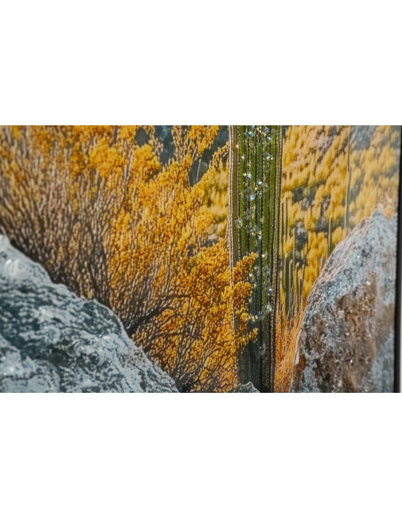 STAMPA SU TELA LACCATA C/CORNICE CACTUS -B- CM 60X4X90 