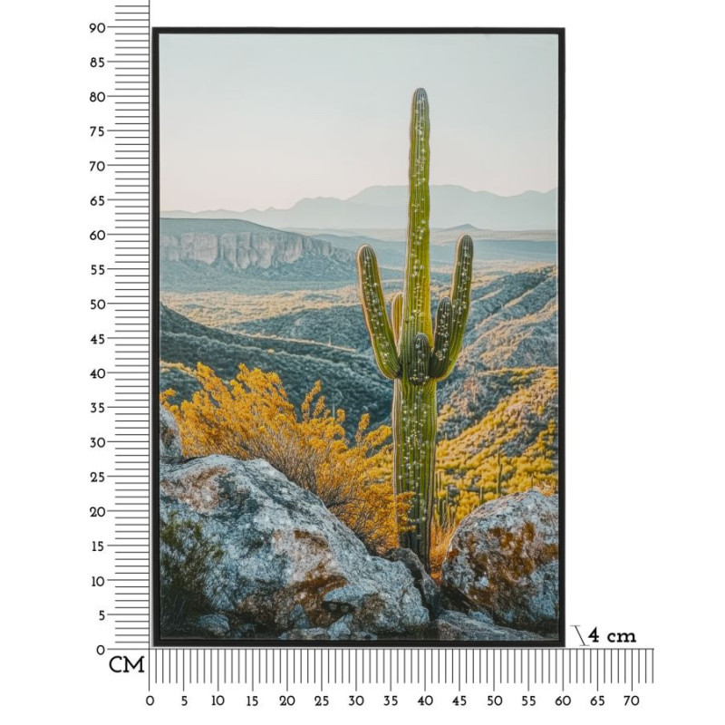 STAMPA SU TELA LACCATA C/CORNICE CACTUS -B- CM 60X4X90 