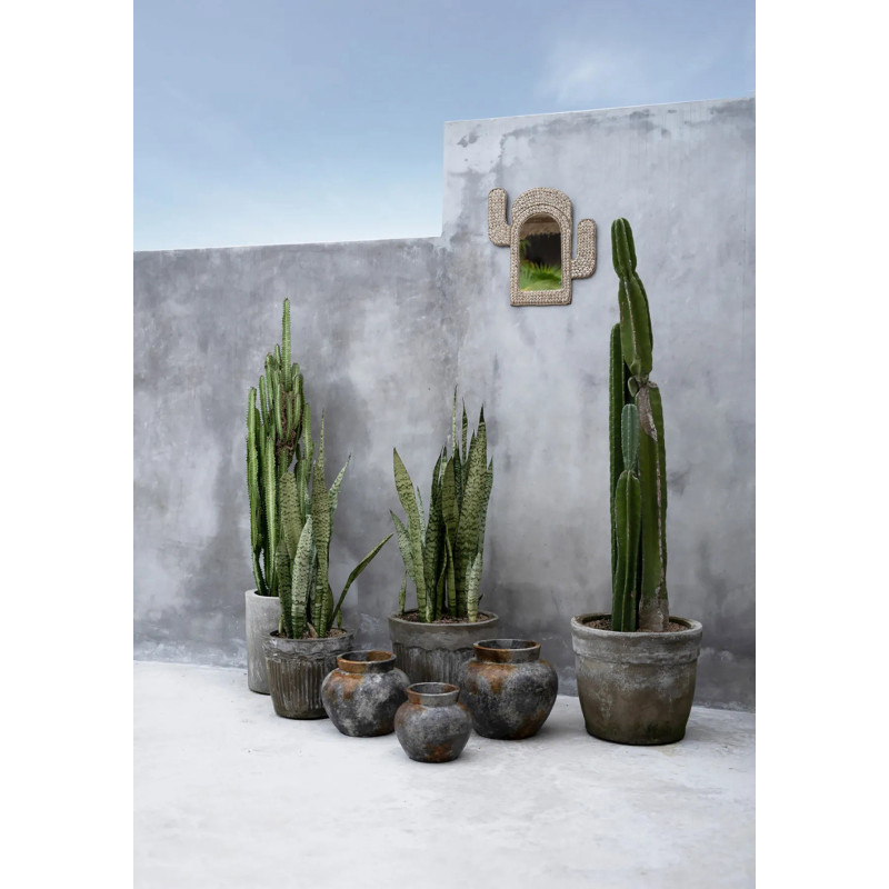 Miroir Mural Cactus 38x40 en Coquillage Blanc The Cactus Shell 
