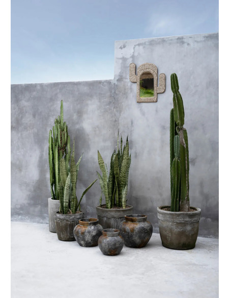 Miroir Mural Cactus 38x40 en Coquillage Blanc The Cactus Shell 